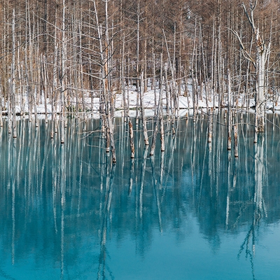 missing image